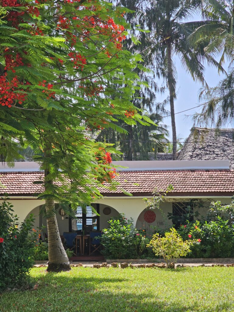 Red-blossoming flame tree in front of a cottage at Flame Tree Cottages