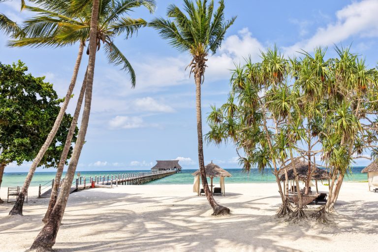White beach with palms and the jetty at Pongwe Bay Resort