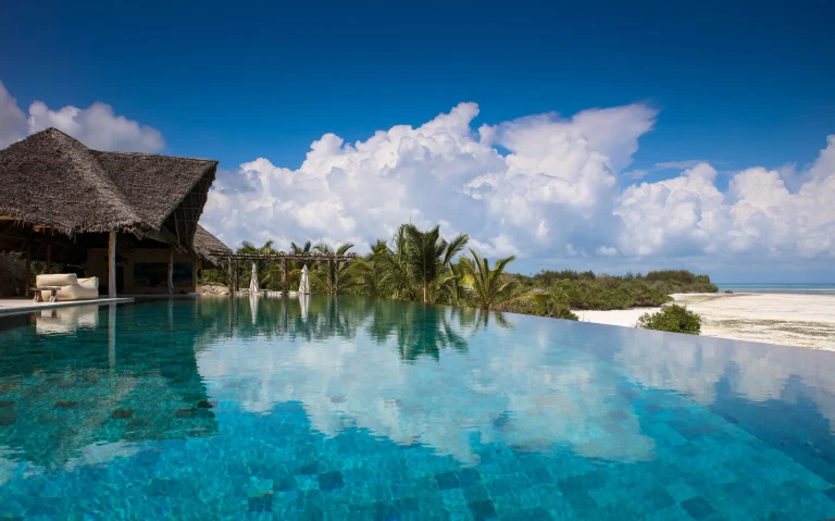 Long infinity pool beneath thatched villas at Qambani