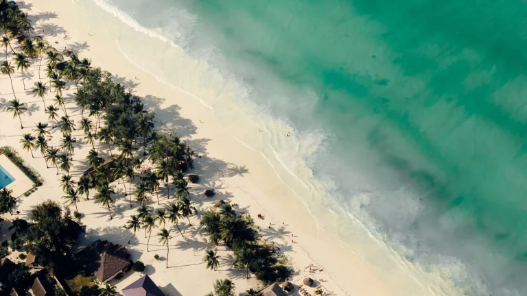 Aerial view of Paje beach and palm groves near Samawa Living