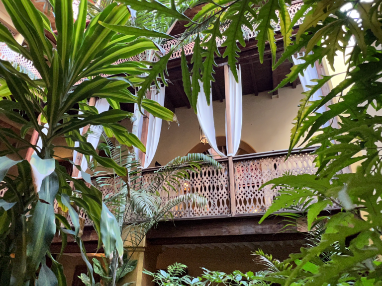Leafy inner courtyard with carved wooden balcony at Jafferji House