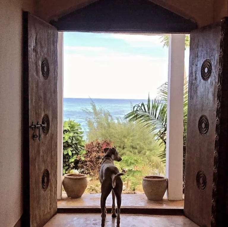 Carved wooden doorway opening to a sea view at Sazani Beach