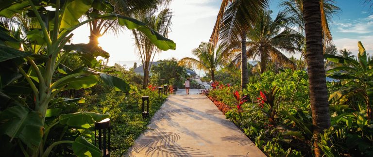 Garden path lined with tropical plants at Zuri Zanzibar