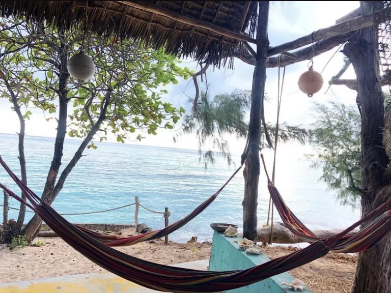 Hammocks strung between trees facing the ocean at Sazani Beach