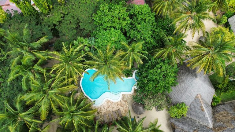Overhead view of the pool among palm trees at Paje by Night