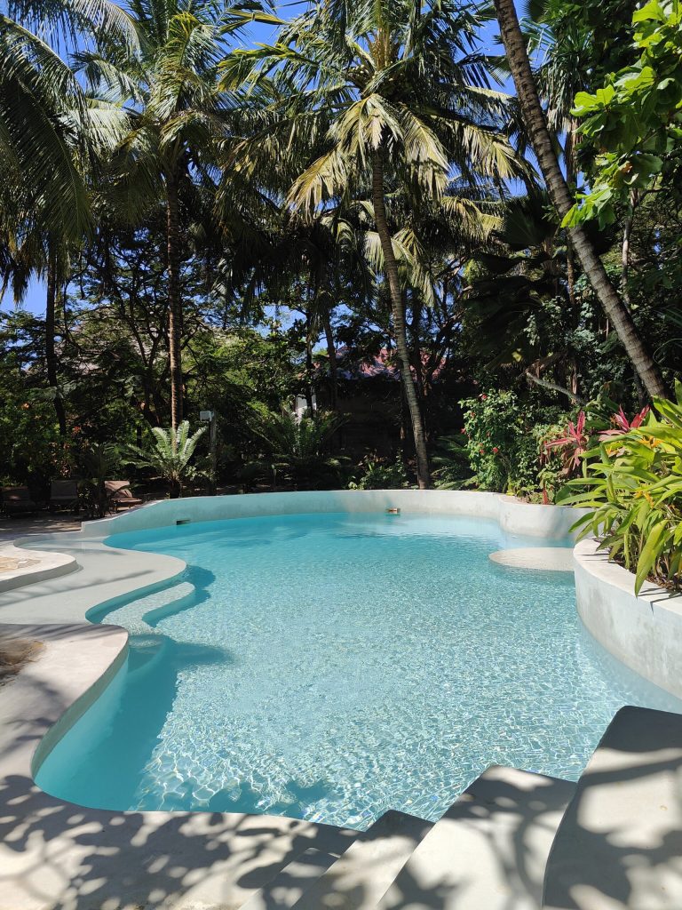 Curving pool shaded by palms at Paje by Night