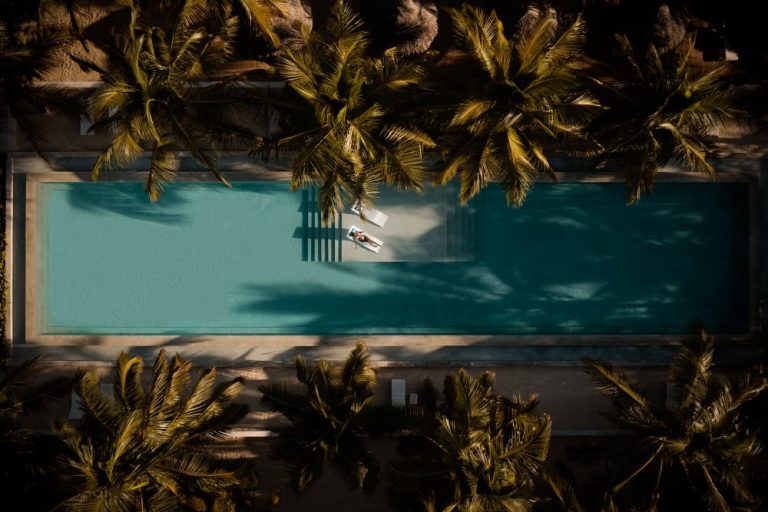 Overhead view of the pool among coconut palms at Mwezi Boutique Resort