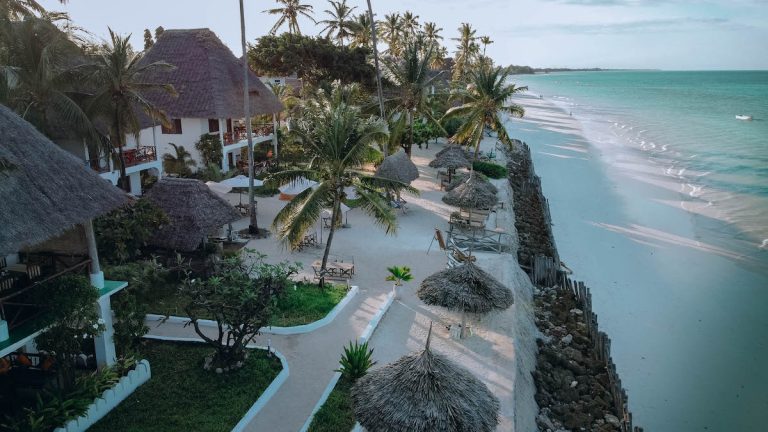 Blue Oyster Hotel's thatched buildings and garden on the Jambiani shoreline from above