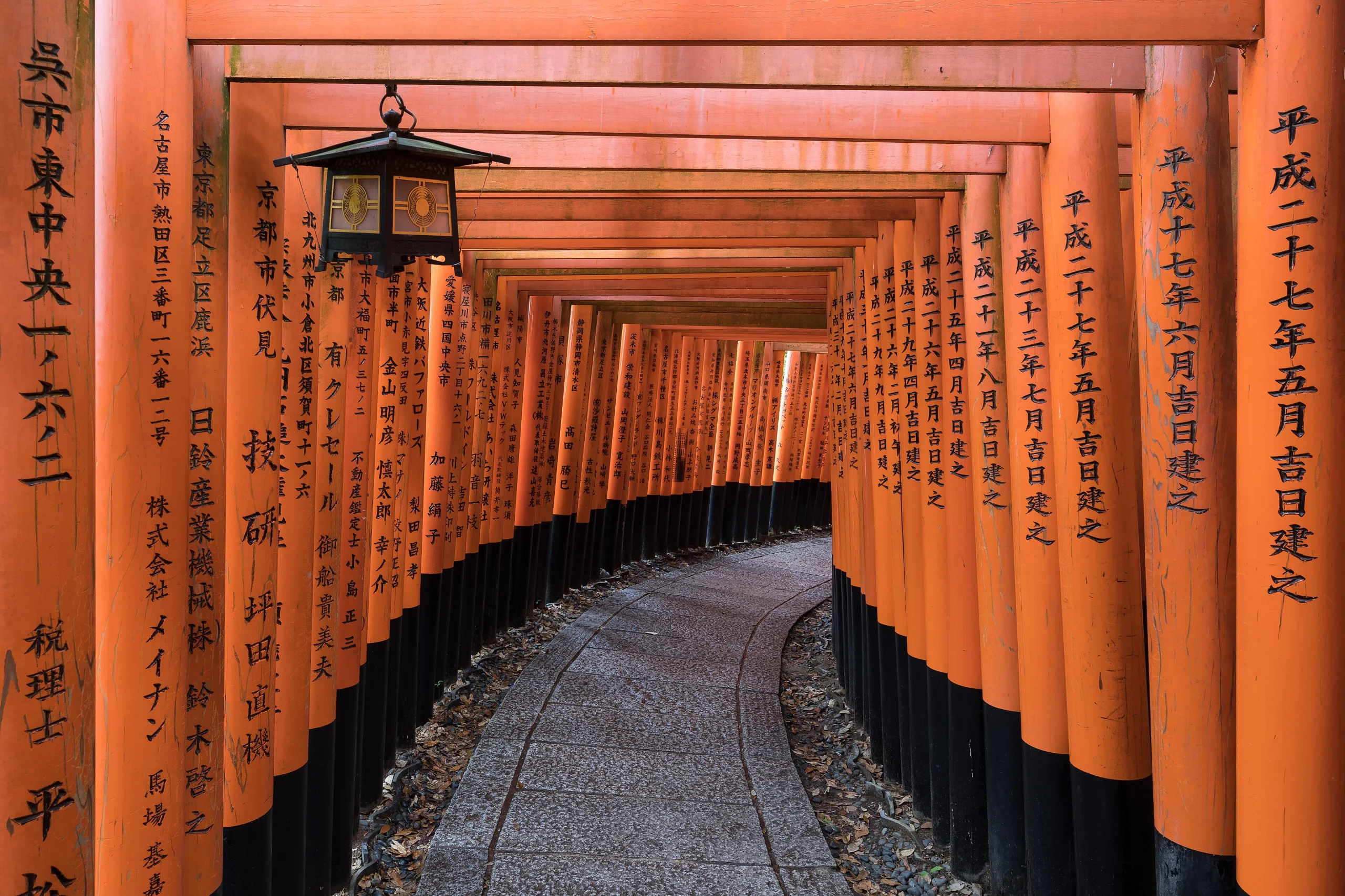 Path of red torii gates with a lantern at Fushimi Inari Taisha, Kyoto
